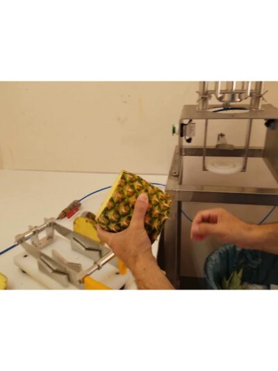 Automatic Pineapple Dicer Machine