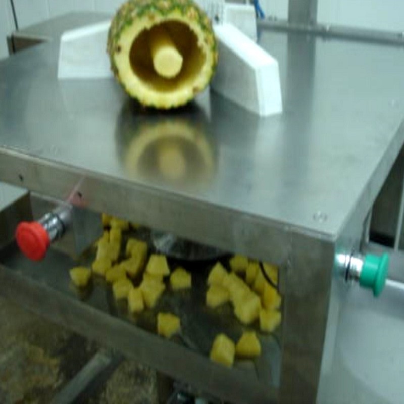 Automatic Pineapple Dicer Machine